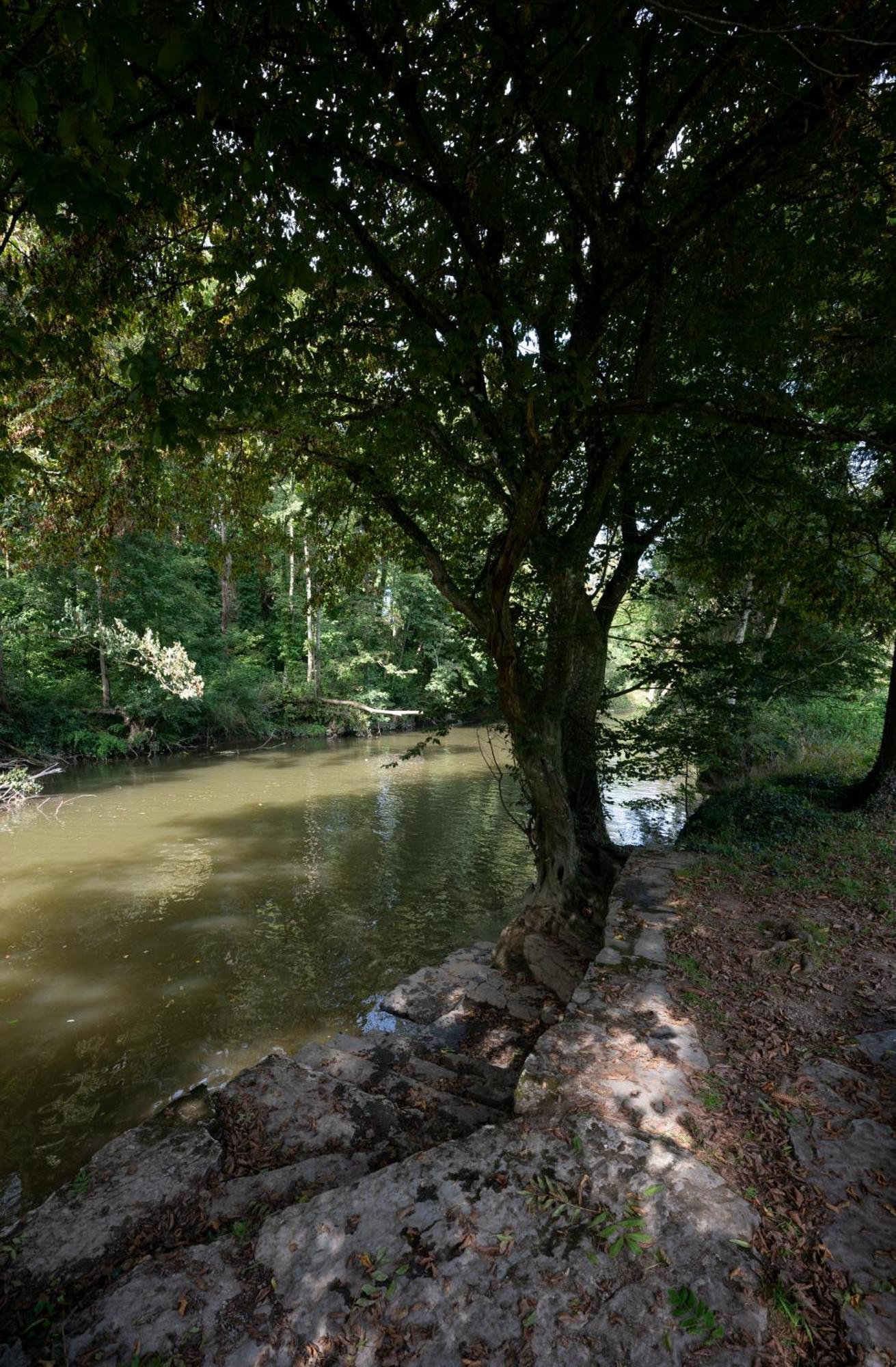 Willa L'Arche De Noe Dinant Zewnętrze zdjęcie